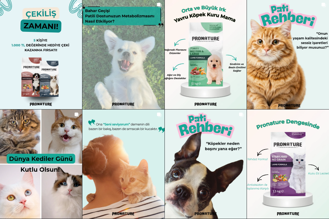 Ekran görüntüsü 2026-03-16 134824